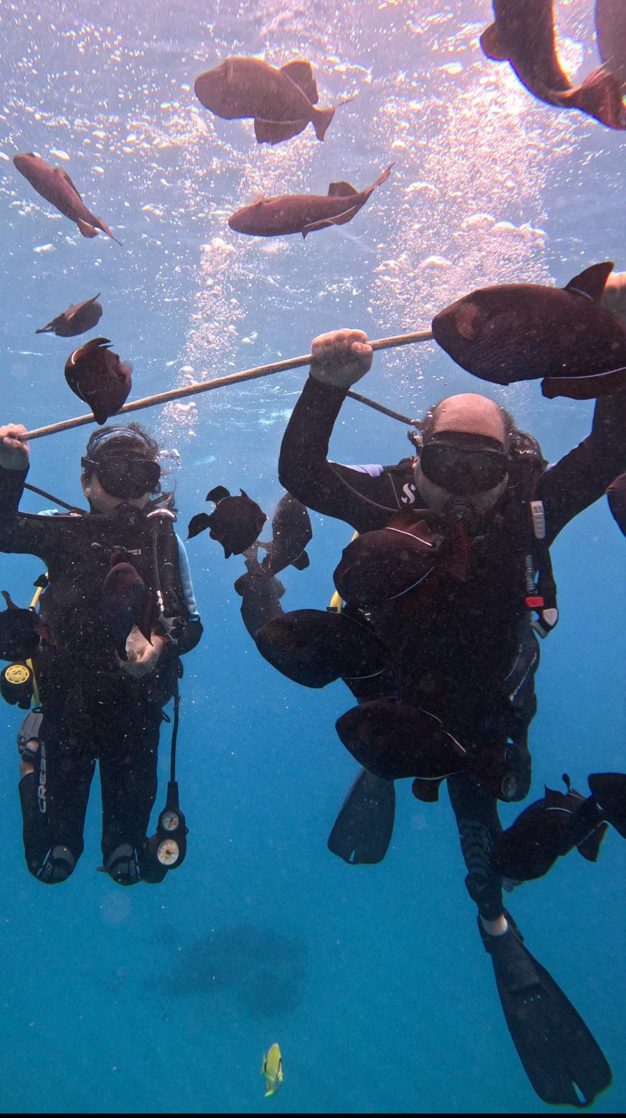 Manish and his daughter under water wearing scuba diving gear. manish is holding on to a rope for dear life while the daughter sprays around fish food causing us to be surrounded by lots of colorful fish